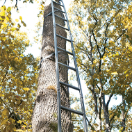 Climbing Sticks & Tree Steps