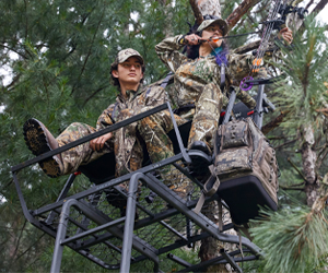 Bolderton Tree Stands