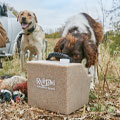 GIFTS FOR DOGS