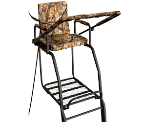LADDER STANDS 
