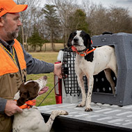 Kennels