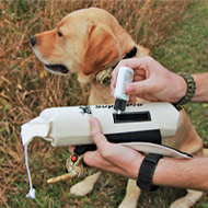 Dog Training Equipment