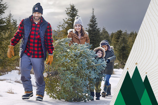BRING HOME THE HOLIDAYS