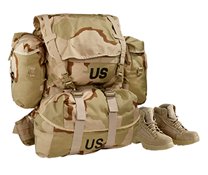 U.S. Military Surplus Desert MOLLE Field Pack Complete with Frame, New