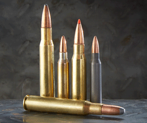 RIFLE AMMO