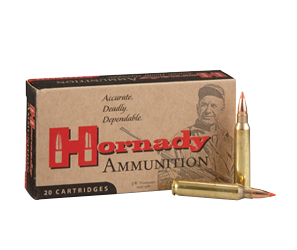 RIFLE AMMO