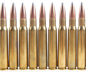 SELECT ON SALE AMMO