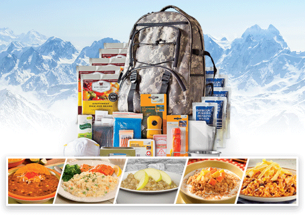 EMERGENCY MEALS