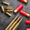 ALL AMMO