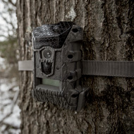 Trail Cameras