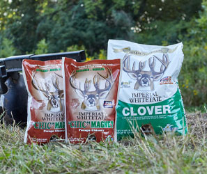 Food Plot Seed