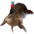 Avian-X LCD Jake & Hen Turkey Decoys