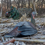 Turkey Decoys