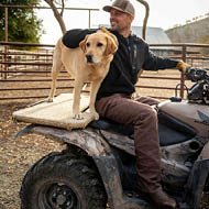 Ariat Clothing & Work Boots