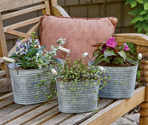 Planter Sets