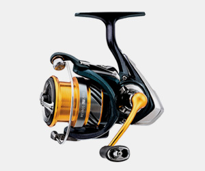 Up to 40% Off Reels