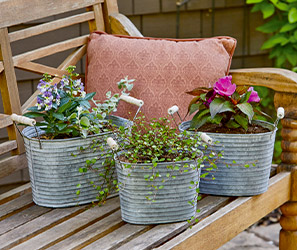 Planters & Outdoor Living