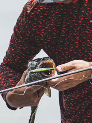 NEW Lures
