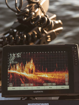 Live Sonar