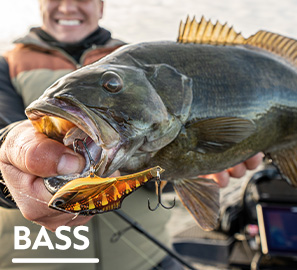 BASS