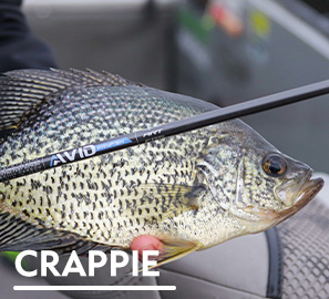 CRAPPIE