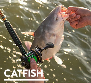 CATFISH