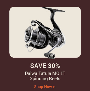 Daiwa Reels