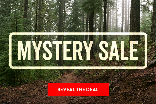 MYSTERY SALE