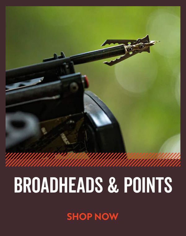 Broadheads & Points