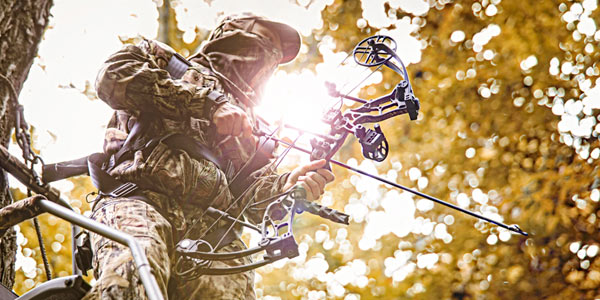 ARCHERY SALE