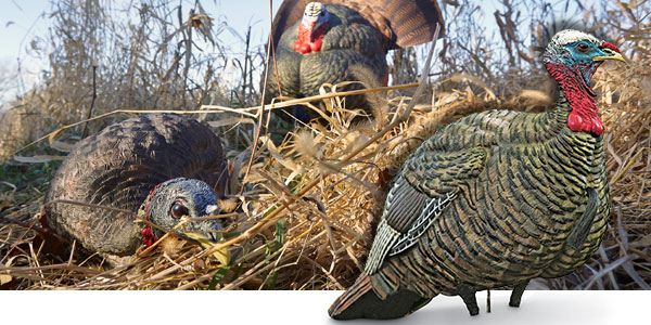 DECOYS