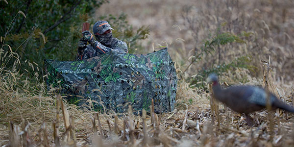 GROUND BLINDS