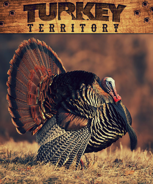 TURKEY TERRITORY - SHOP ALL TURKEY