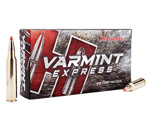 VARMINT AMMO ON SALE