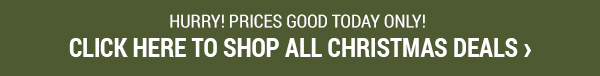 Hurry Prices Good Today Only. Click To See All 12 Deals!