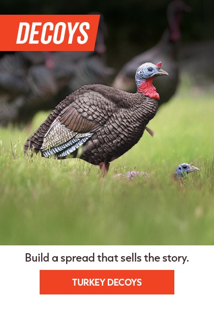 SHOP TURKEY DECOYS