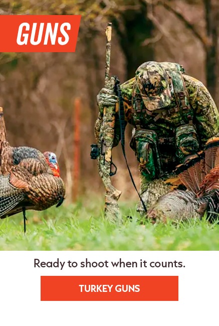 SHOP SHOTGUNS