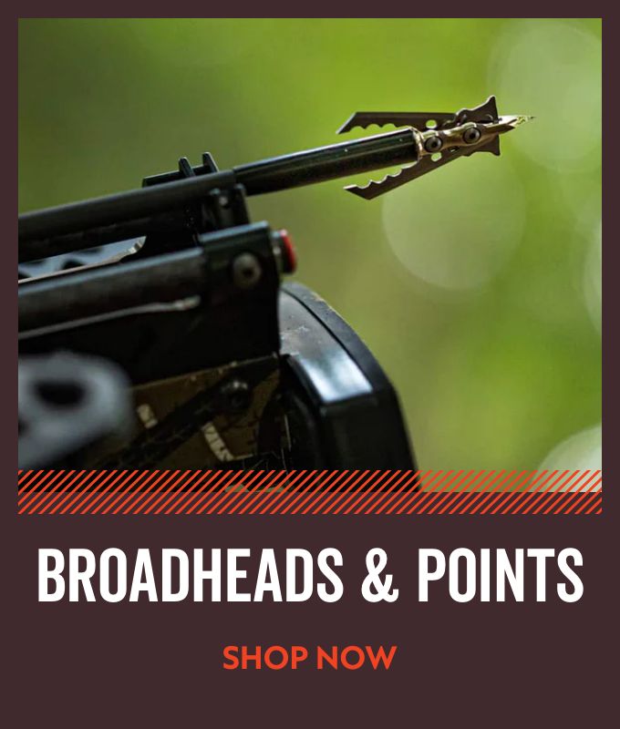 Broadhead