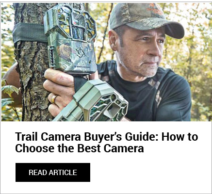 Trail Camera Buyer's Guide
