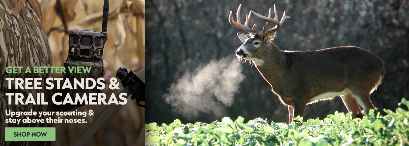 Tree Stands & Trail Cameras Shop Now