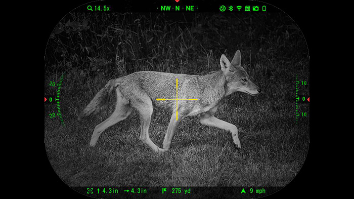 Night Vision: How Does It Work?