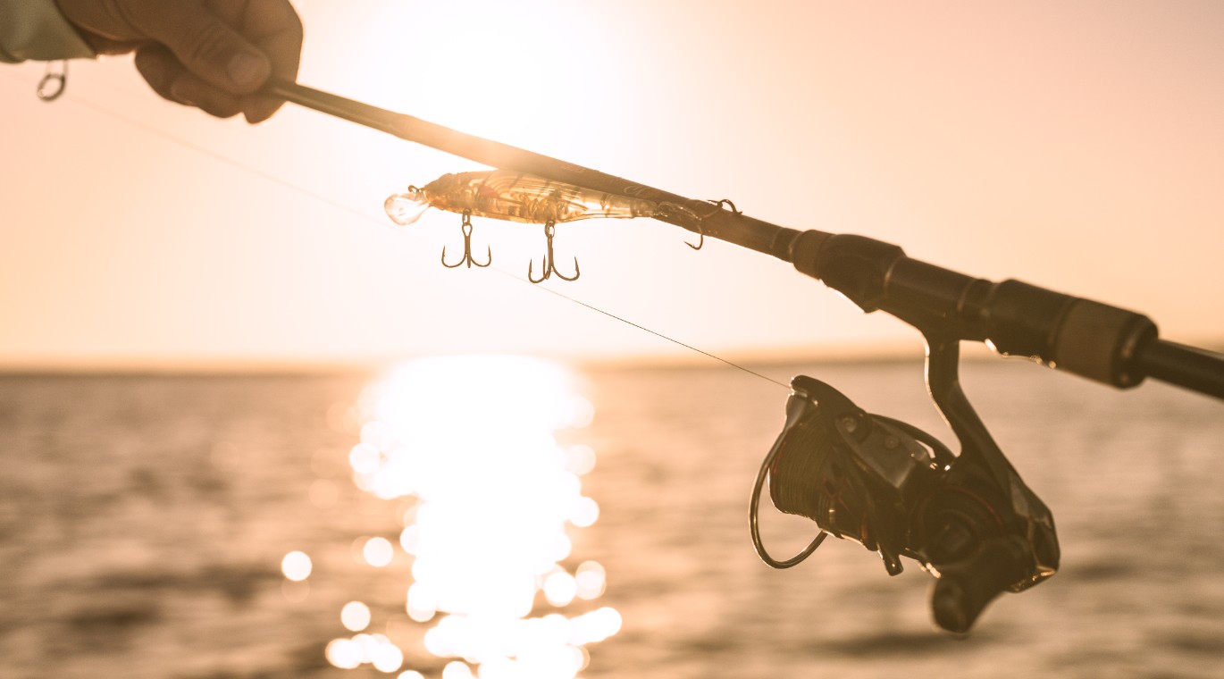 Fishing Deals