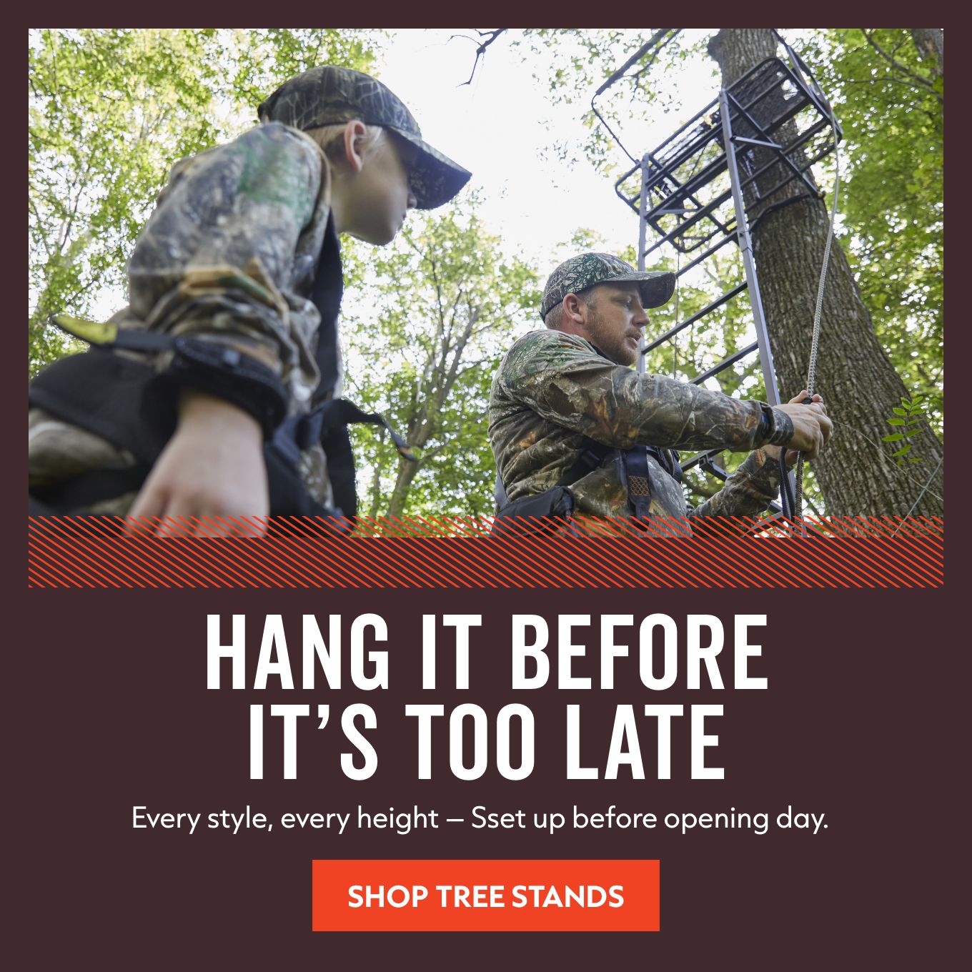 tree stands 