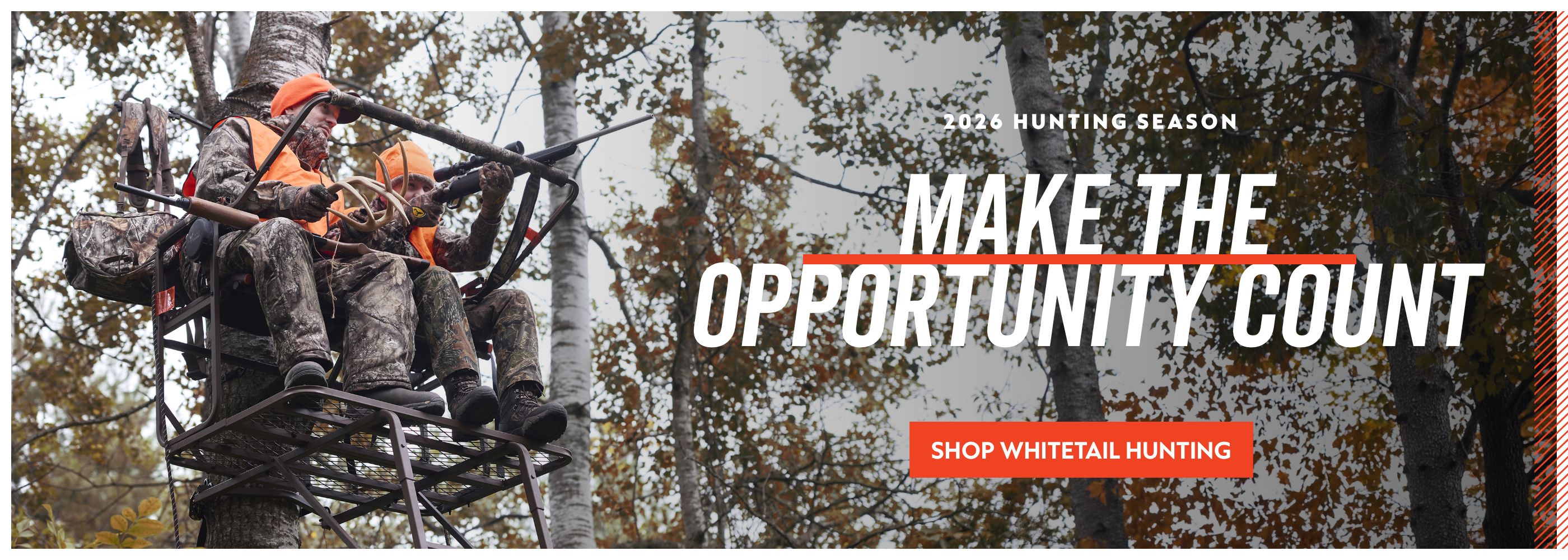 whitetail 