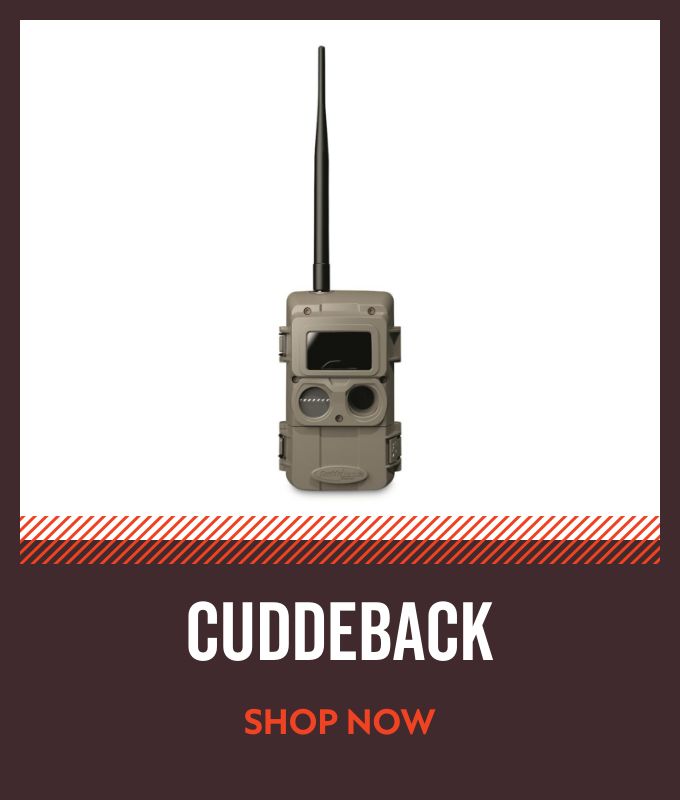 Cuddeback