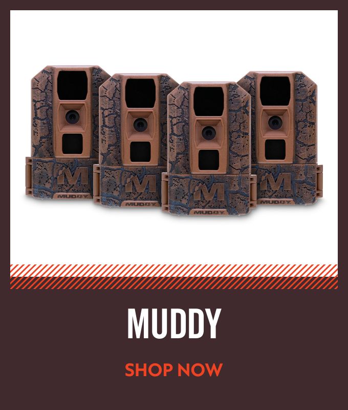 Muddy