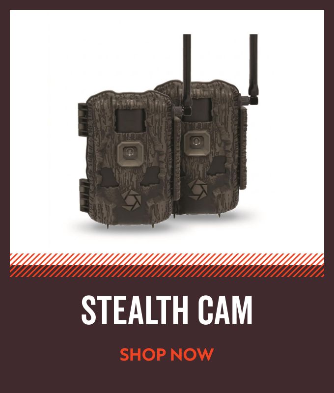Stealth Cam