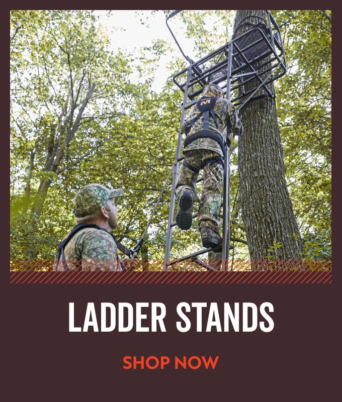 Ladder Stands