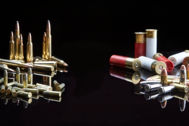 Ammo Department Image for Mobile