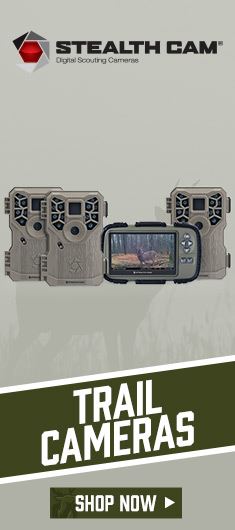 Trail Cameras